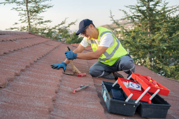 Best Roof Replacement Cost  in Fort Pierre, SD